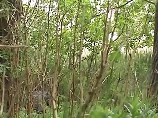 your voyeur videos - Woman peeing in the middle of bushes