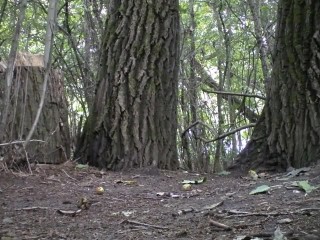 Piss – Brunette gal pees between trees your voyeur videos - Brunette gal pees between trees