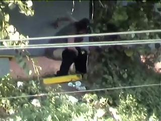 your voyeur videos - Mature woman pees beyond tree