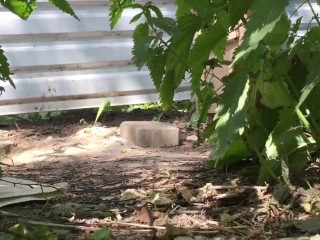 Piss – Lady in jeans shorts pees your voyeur videos - Lady in jeans shorts pees